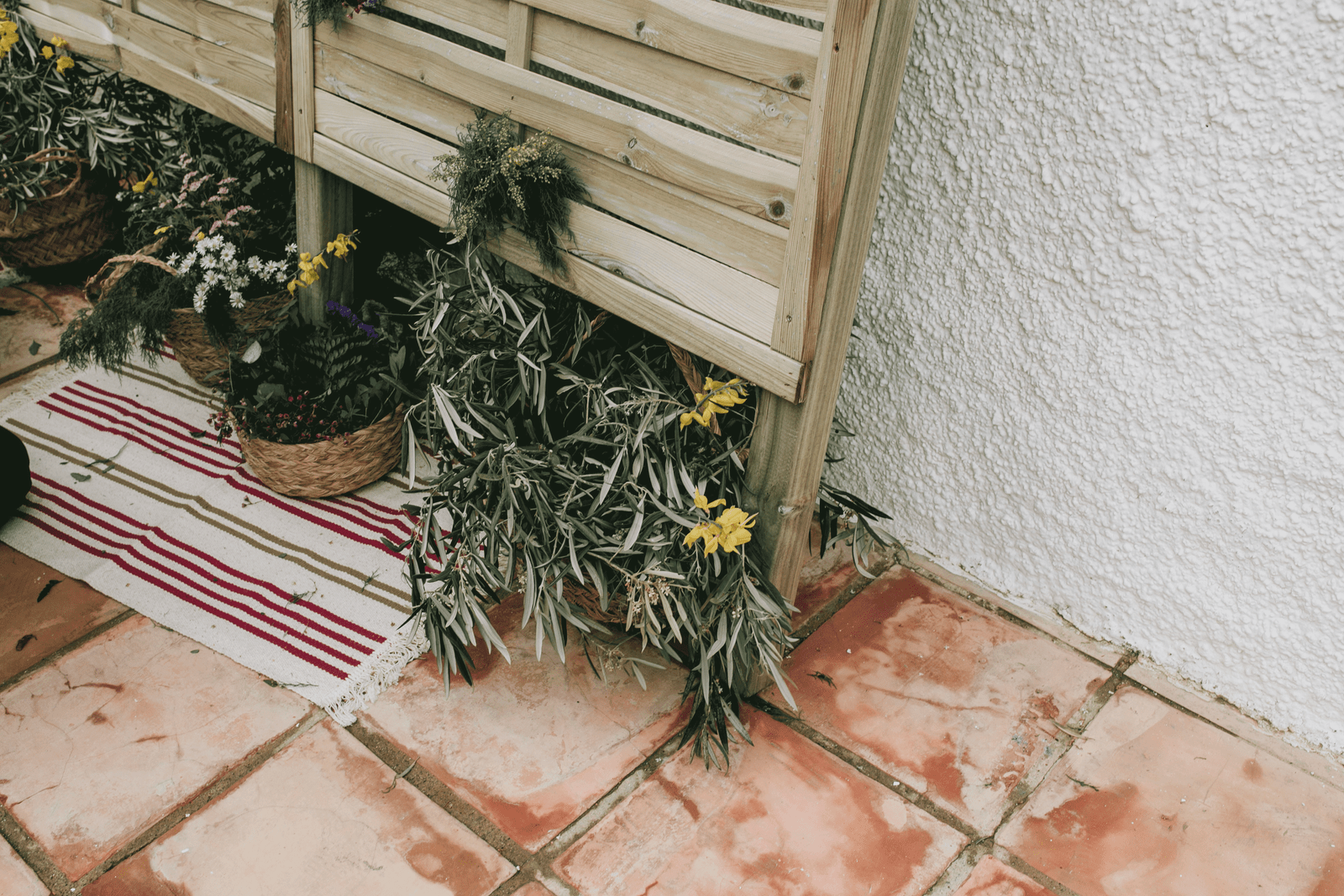 cesta mimbre con olivo para boda